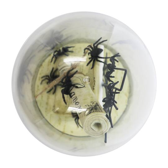8" Spider Cloche Tabletop Décor by Ashland®